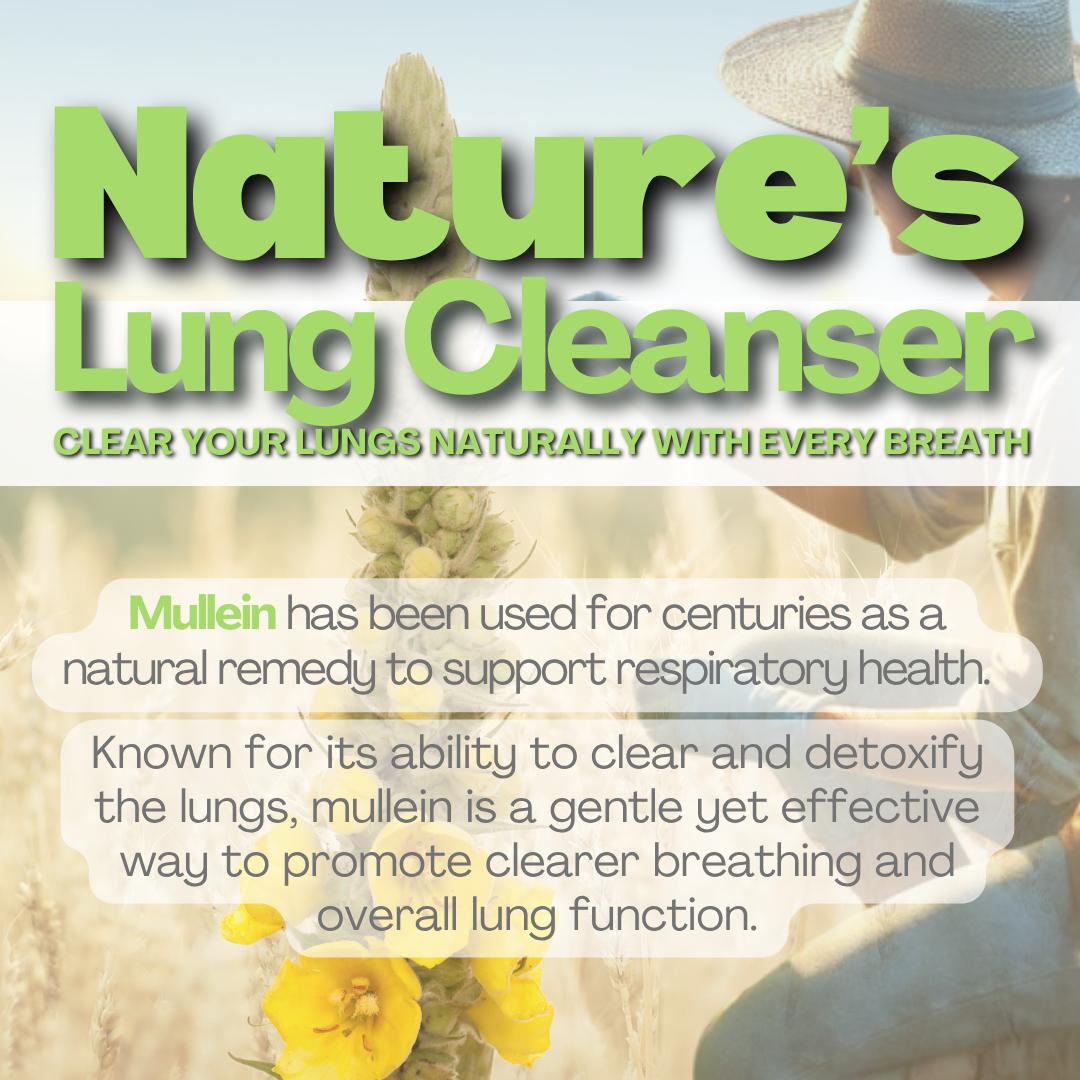 NEW Mullein PuffBar Lung Detox Chewer – Quit Smoking Aid with Essential Oils | Natural Craving Relief & Breath Freshener