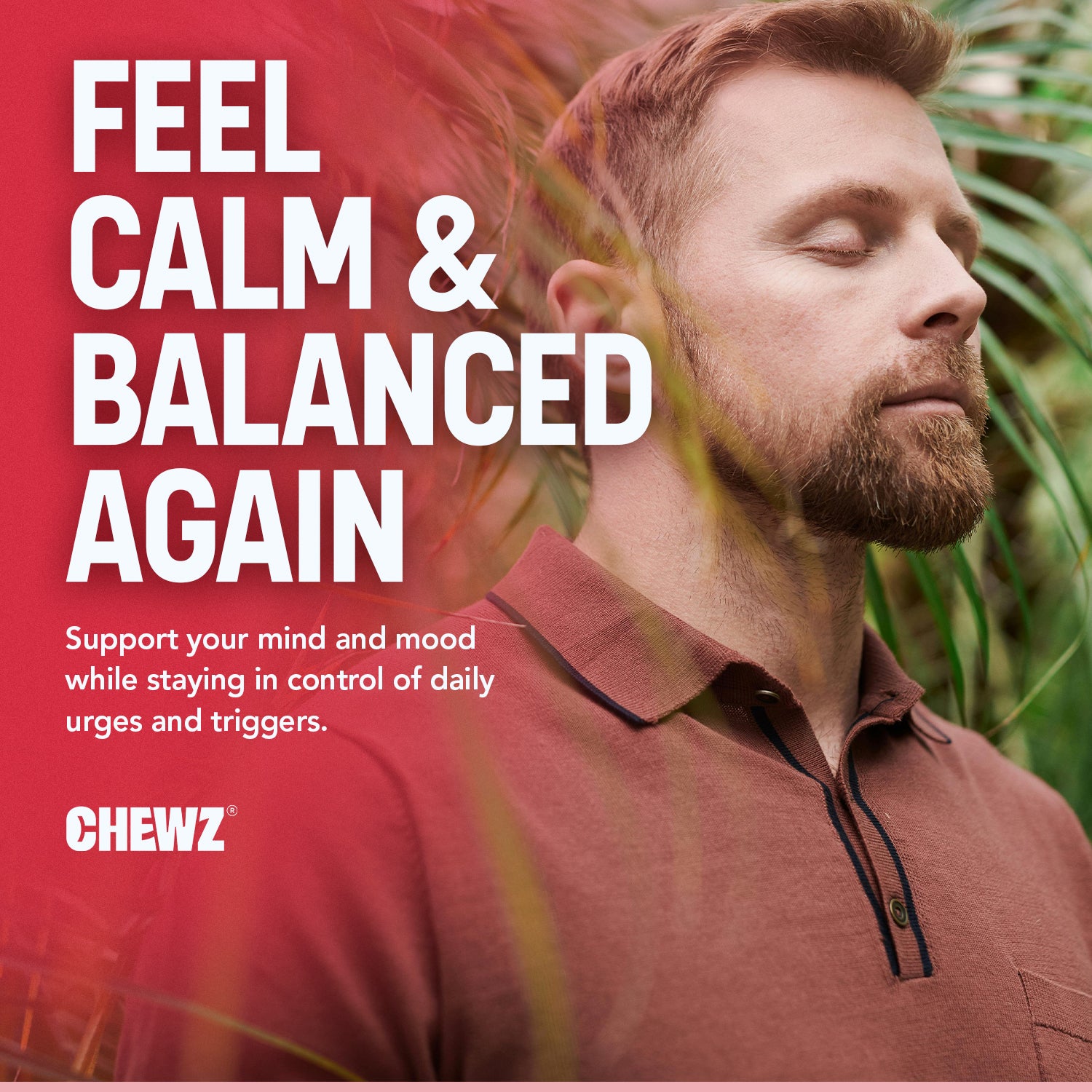 Mood & Liver Balance Gummies — B Vitamins and Herbal Blend | CHEWZ