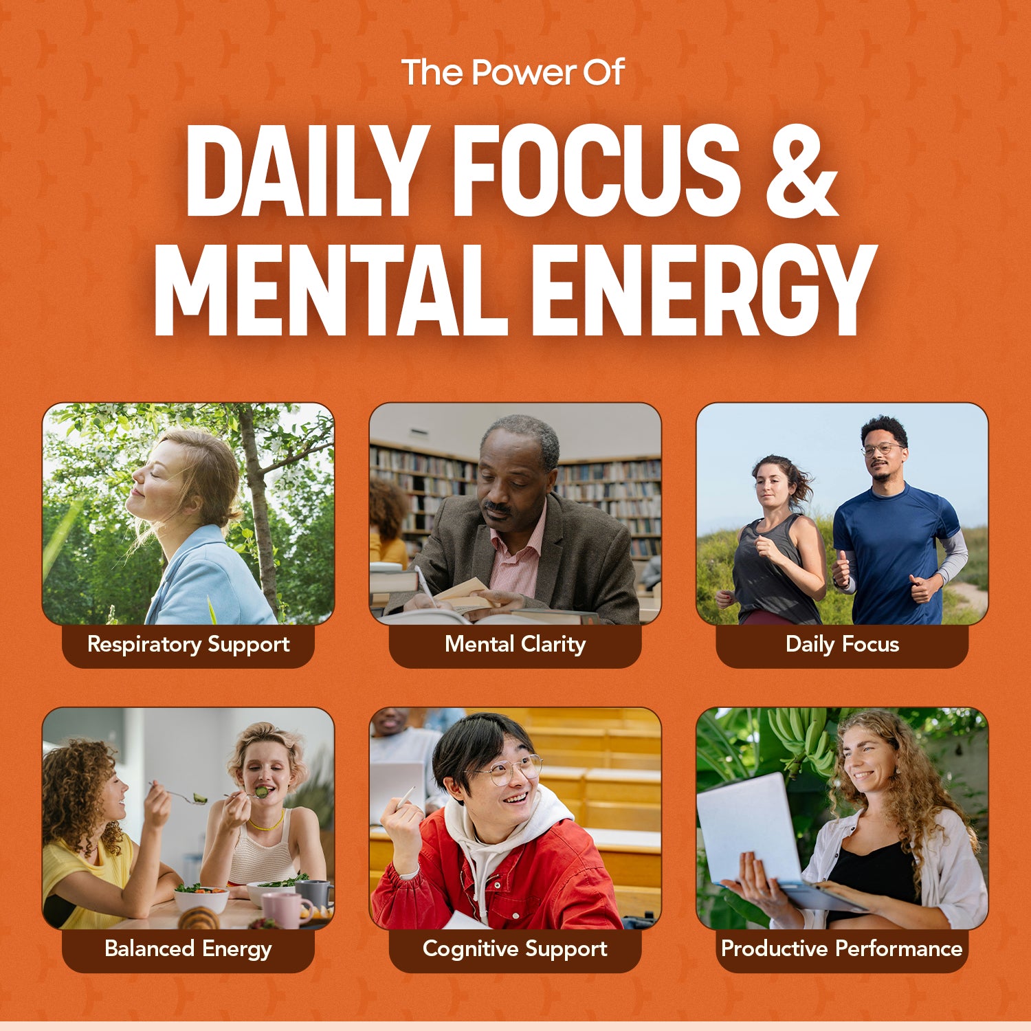 Daily Focus & Energy Gummies — American Ginseng, Vitamin B12 | CHEWZ